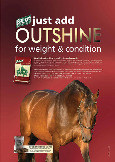 Aimbry Chester Features in Baileys Horse Feeds advertising