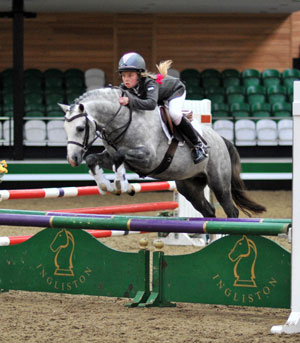 Rotherwood Signature Welsh Section B Pony and Cob stallion at stud