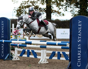 Rotherwood Signature Welsh Section B Pony and Cob stallion at stud