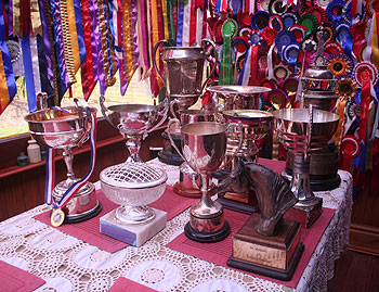 Thursden Vallye Raphael trophies